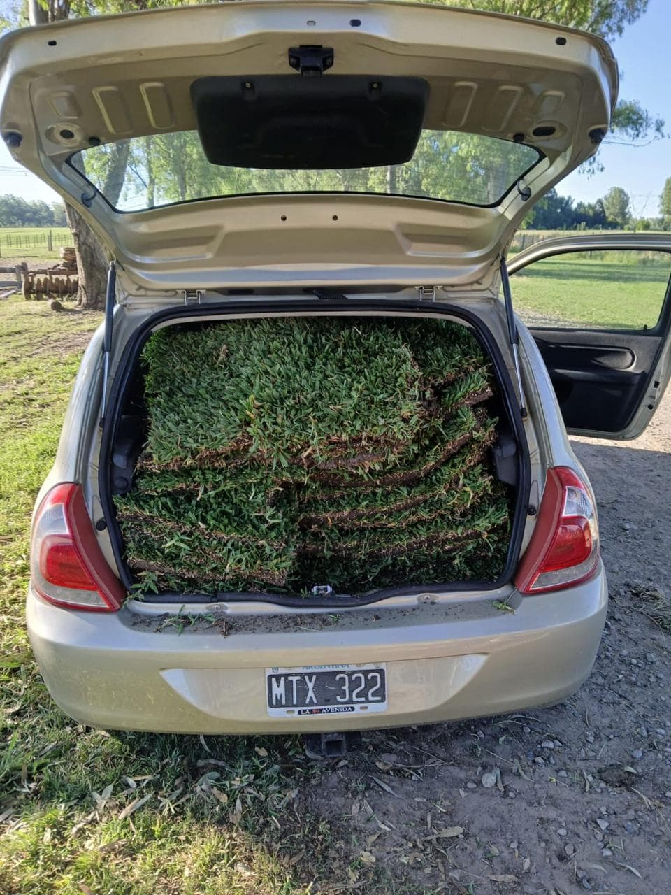 Cliente retirando pasto en el baúl de su auto