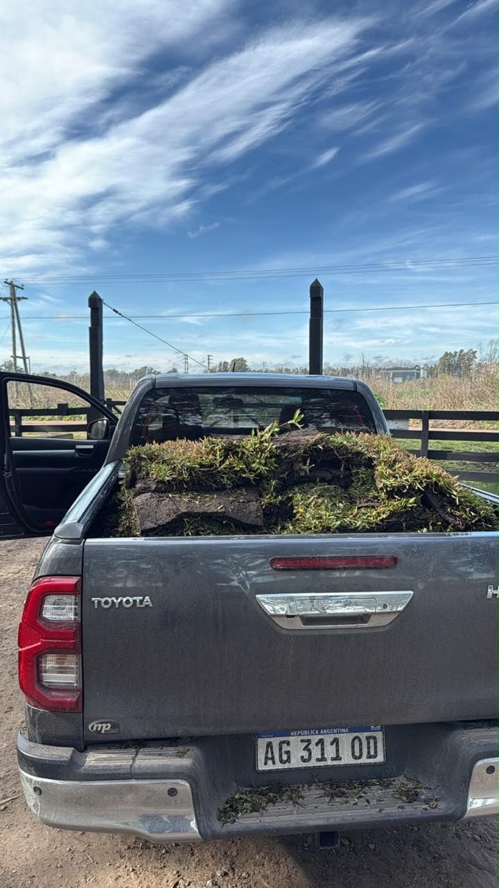 Camioneta cargada con panes de pasto natural