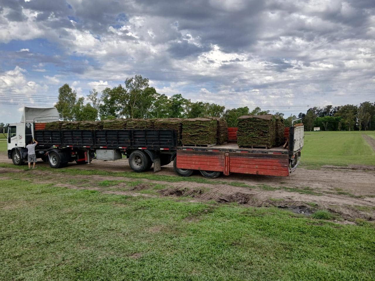 Pallets de pasto natural listos para retirar o entregar