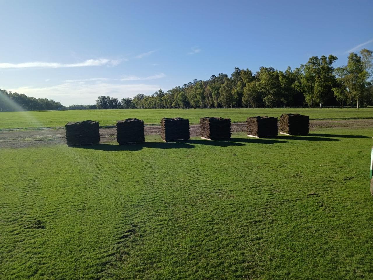 Pallets de Tifton listos para entregar