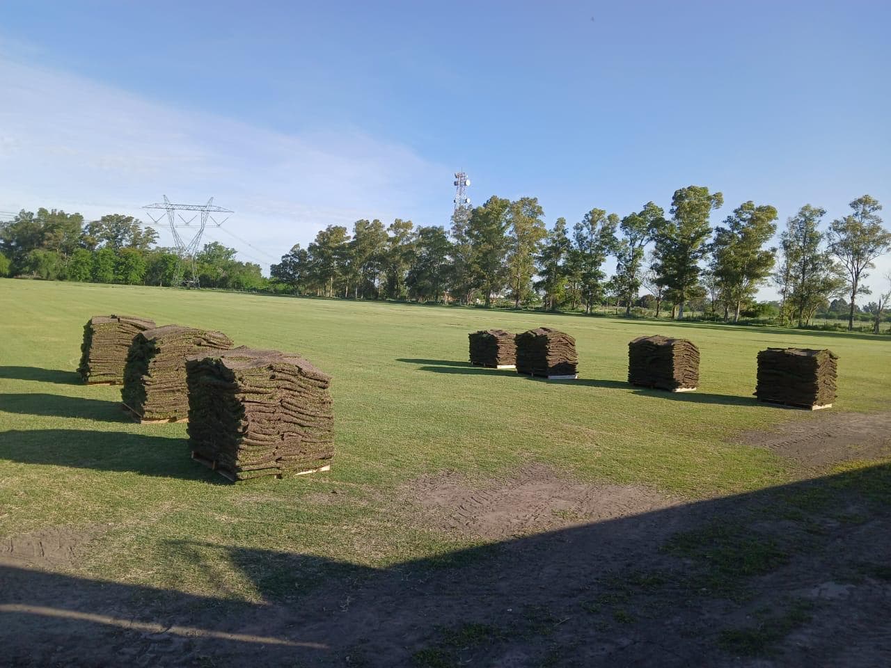 Pallet de Tifton con riego en el campo